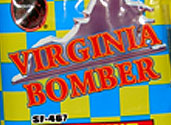 VIRGINIA BOMBER-image